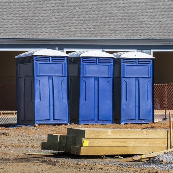 are there different sizes of porta potties available for rent in Woodhaven NY